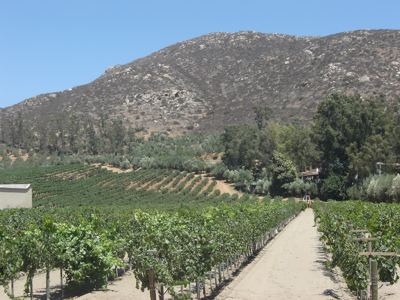 Vista principal de Valle de Guadalupe