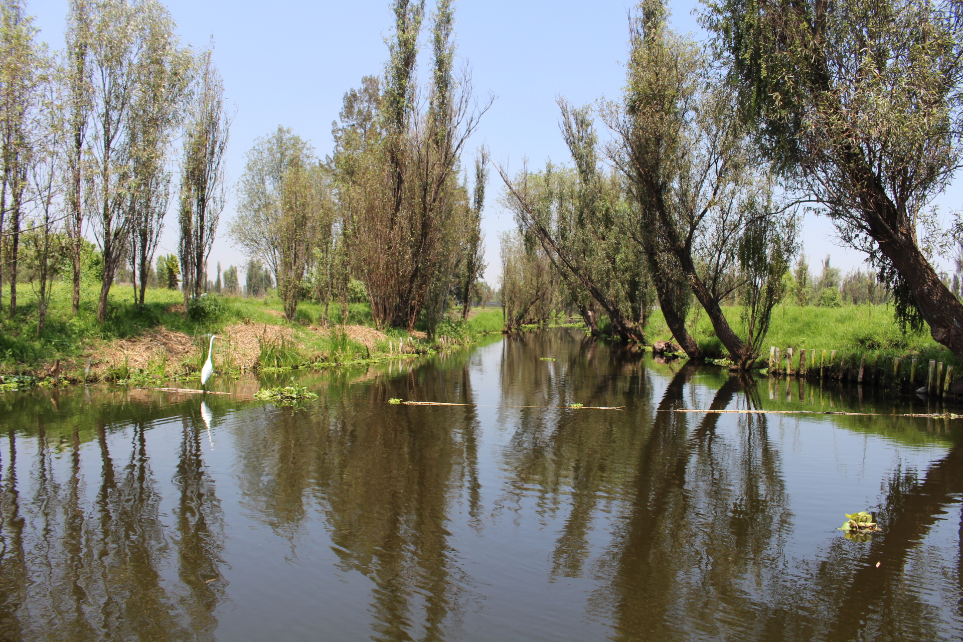 Vista principal de Xochimilco