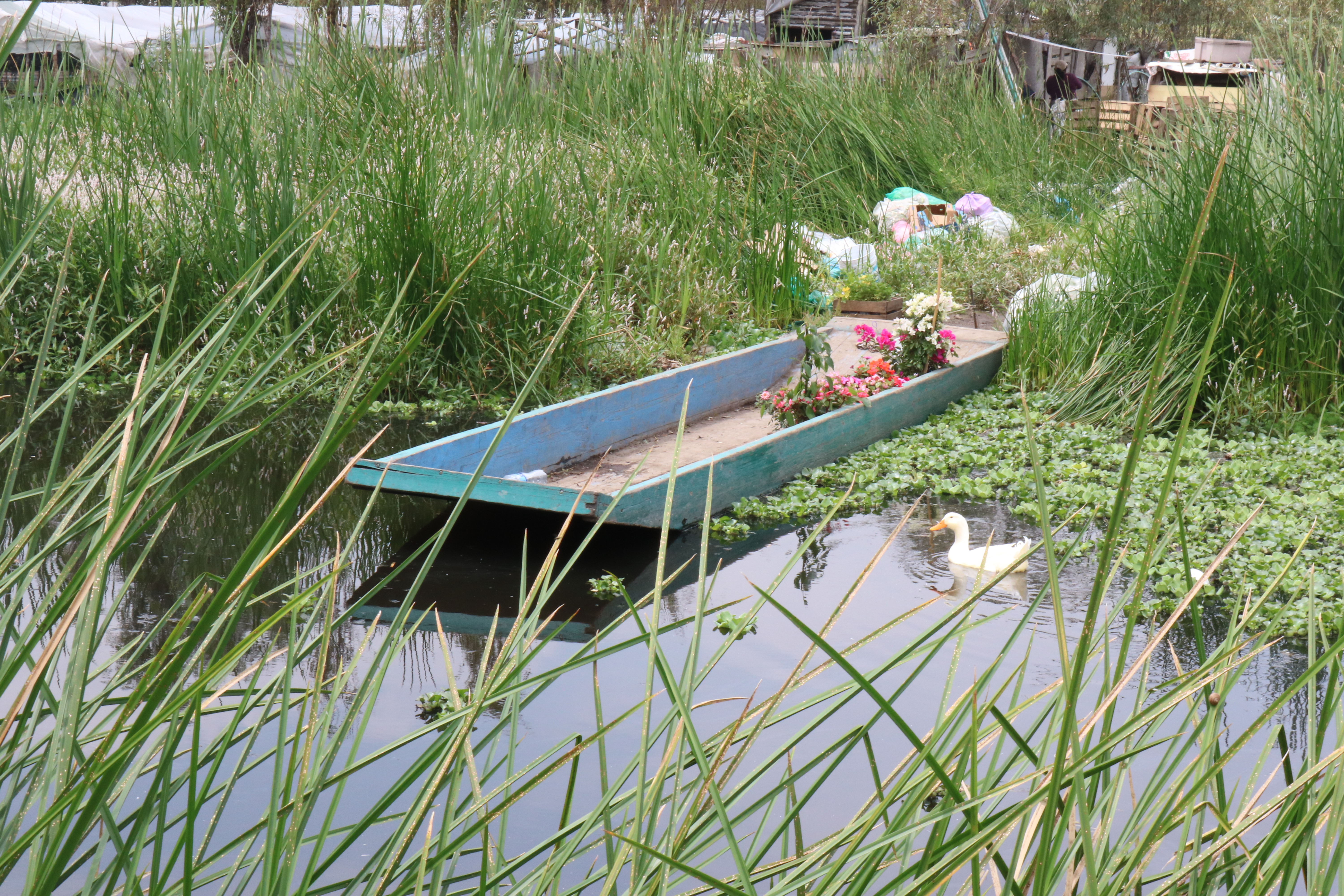Xochimilco, imagen 2